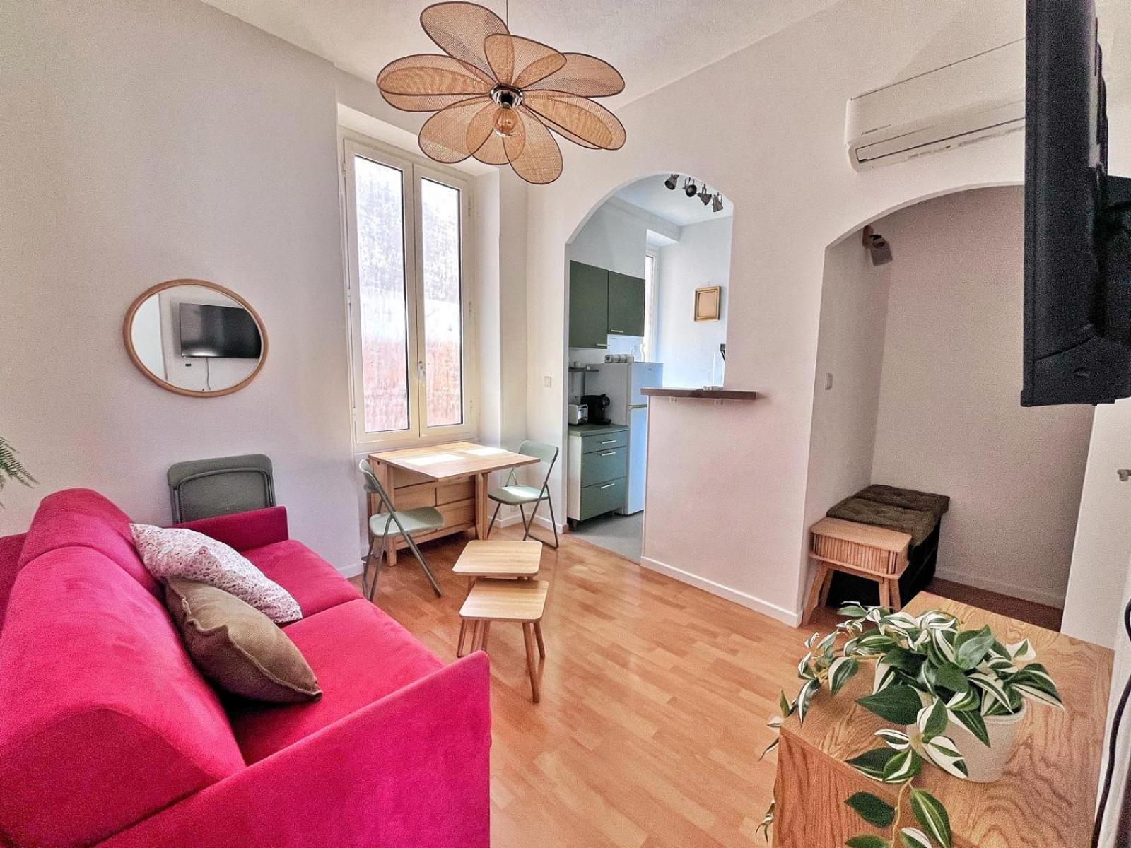 Lumineux Et Deux Piece - Appartement